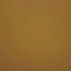 Meet your Posher, Adrian